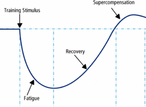 supercompensation curve